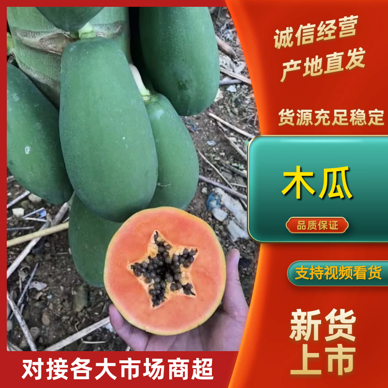 云南河口8成熟新鲜采摘大青红心木瓜热带水果批发