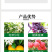 流体硼叶面肥促花保花保果提高促进授粉花芽分化防裂果畸形等