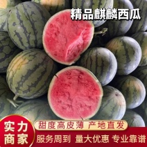 [优质商家]云南美都西瓜/无籽西瓜-对接全国商超市