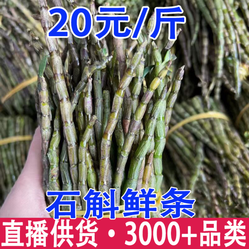 铁皮石斛鲜条石斛鲜条霍山石斛鲜条云南石斛鲜条产地货
