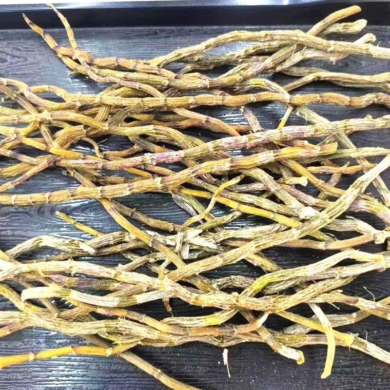 铁皮石斛条霍山石斛铁皮枫斗干条寸胶质米斛条胶质大货批发5