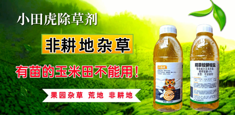 小田虎精草铵膦铵盐果园荒地除草恶性杂草非耕地