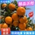 《沃柑》四川柑桔/现摘现发/质量好价格便宜/全国发货