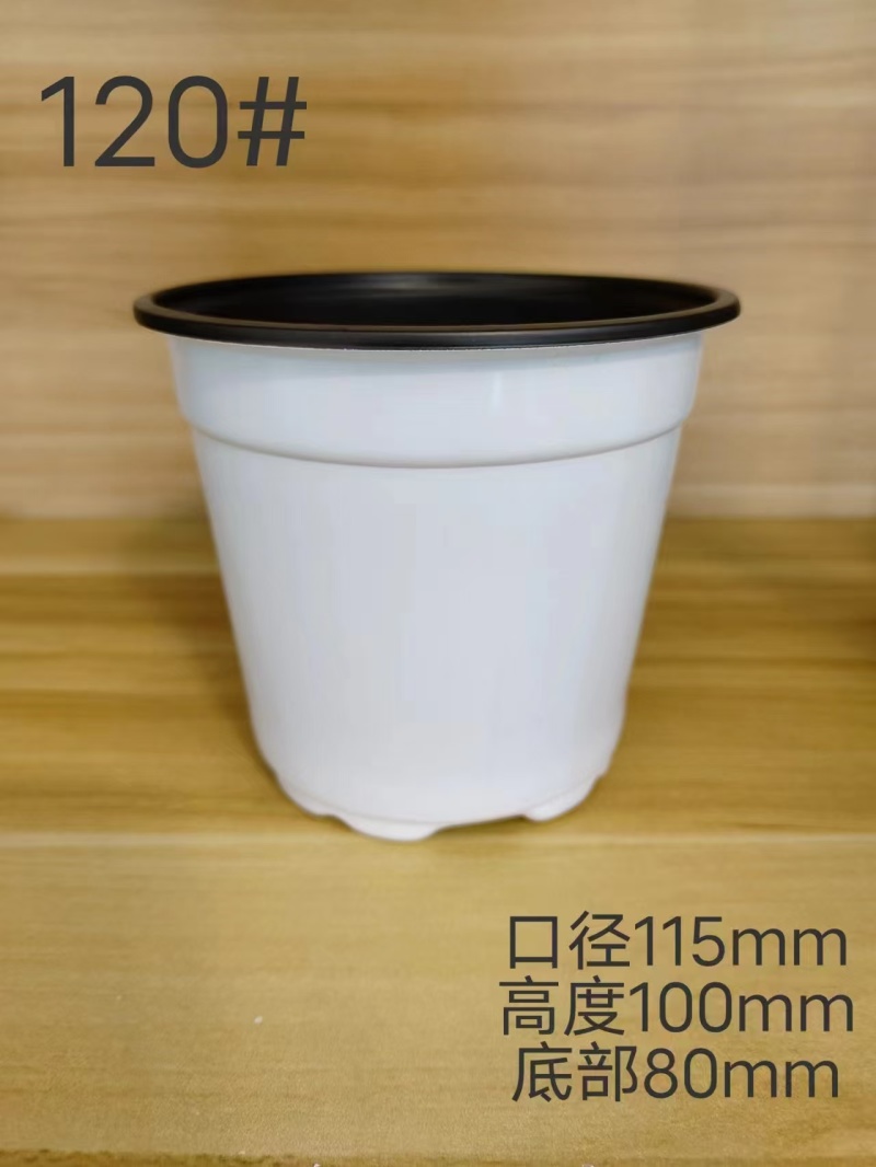 白色花盆双色盆