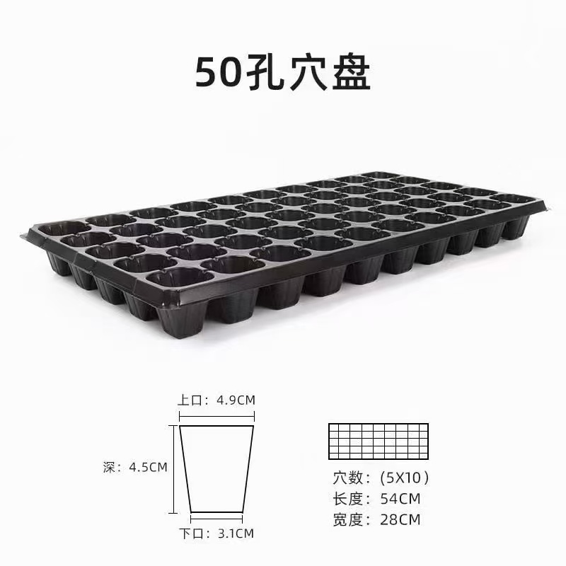 穴盘