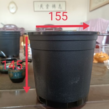加仑盆