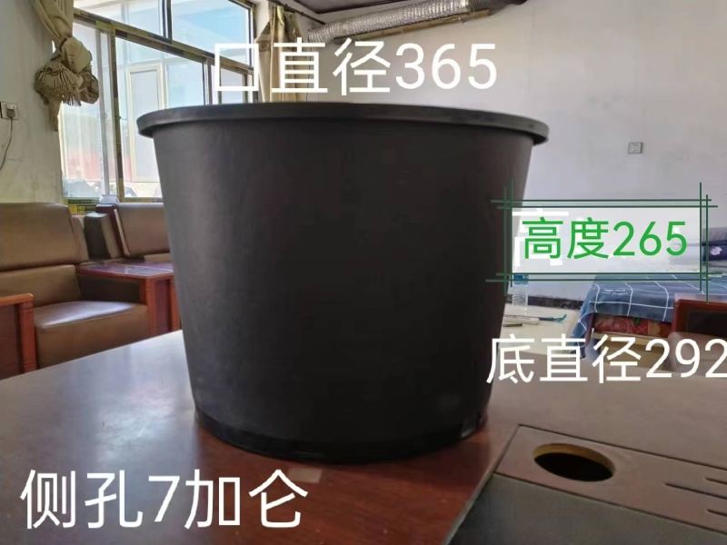 加仑盆