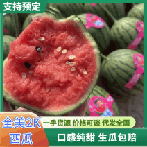 山东全美2k西瓜手剥西瓜保熟保甜小吊瓜基地直发保质量便宜