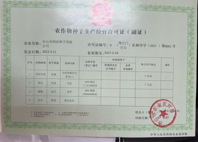 台研秀盈水果毛节瓜种子，绿肉，高产，珠三角全年可种