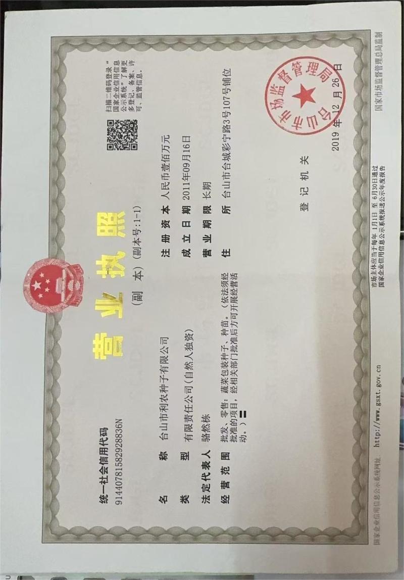 台研秀盈水果毛节瓜种子，绿肉，高产，珠三角全年可种