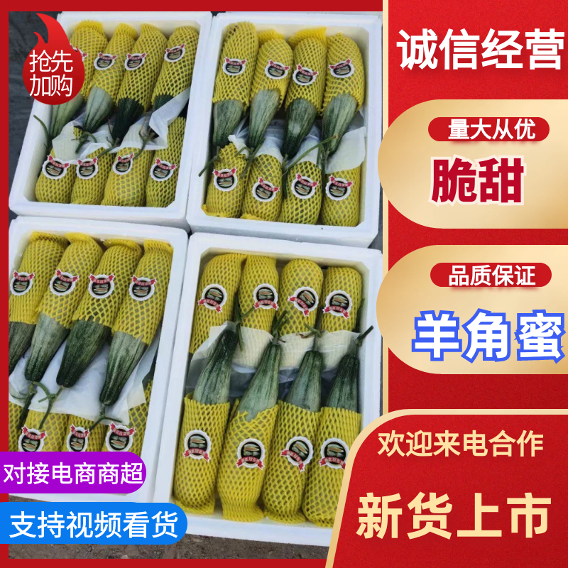 山东寿光羊角蜜，61，盘古蜜落价了