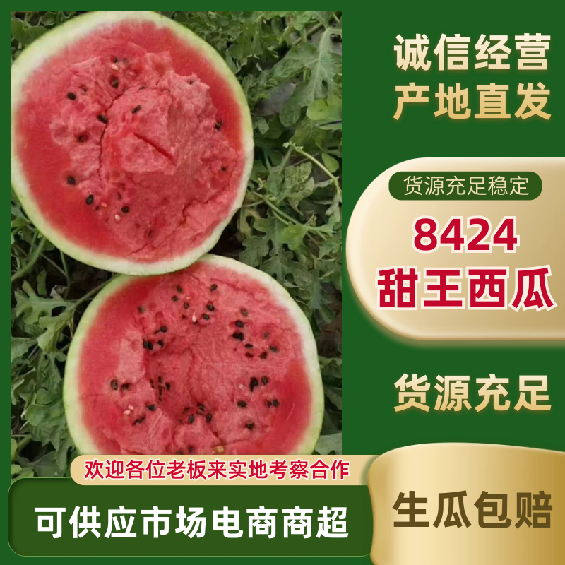 精品甜王西瓜，批发陕西甜王西瓜，蒲城甜王西瓜大量上市中