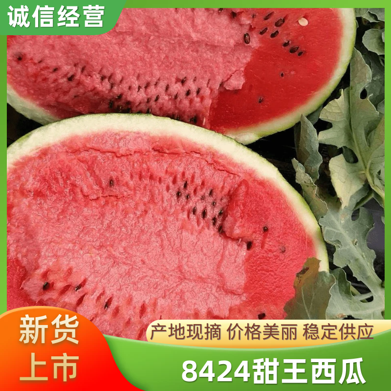 【实力代发全国】8424西瓜陕西渭南甜王西瓜，产地一手货