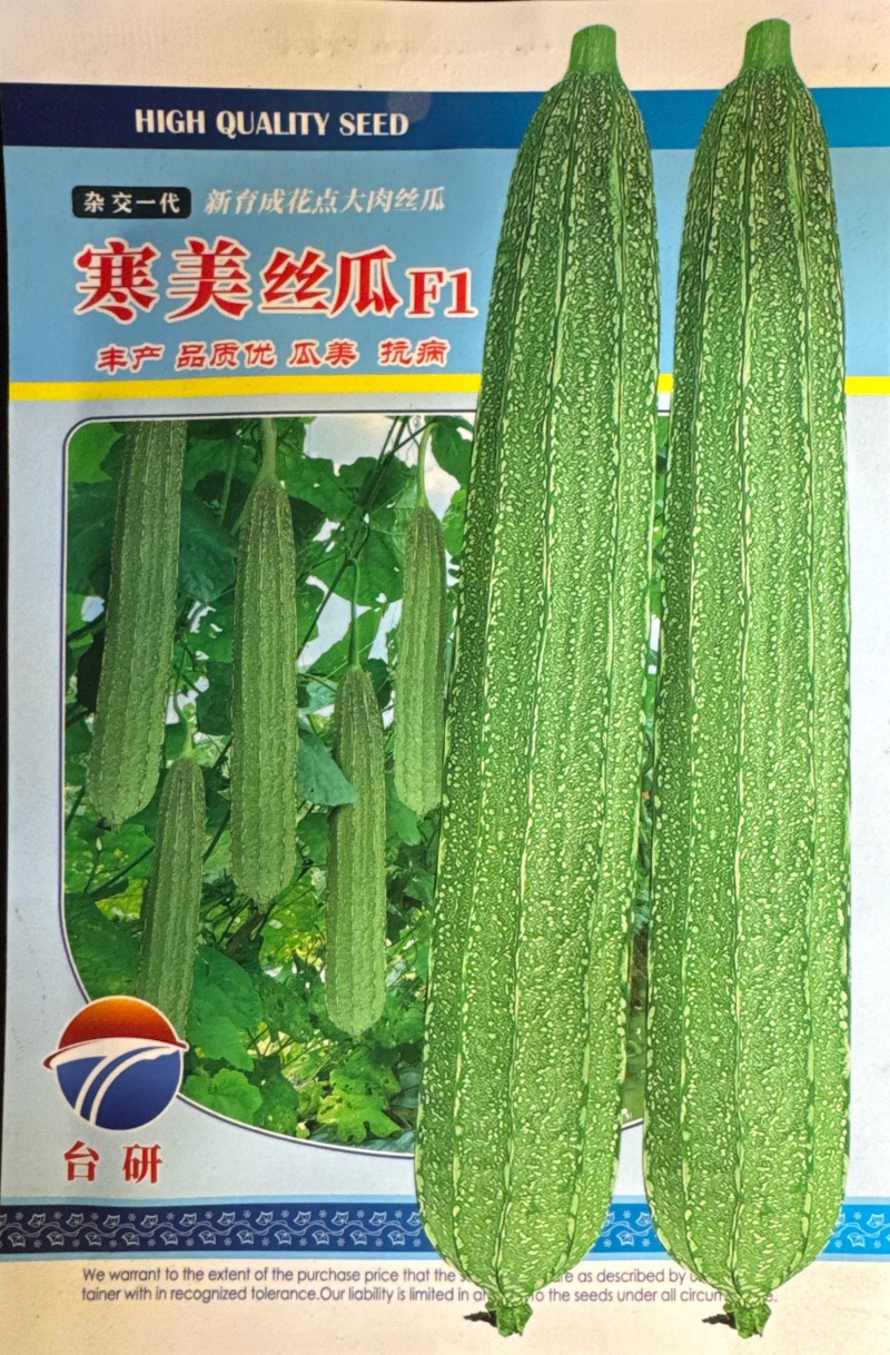寒美丝瓜种子，耐寒性强，大肉花点丝瓜，结实，结瓜多，采收