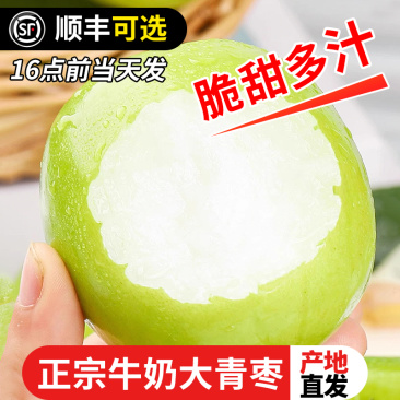 【大果脆甜爽口！】福建牛奶贵妃枣