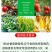 5%氨基寡糖素番茄晚疫病果树蔬菜农用正品