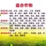 EDTA-螯合铁叶面肥乙二胺四乙酸铁钠黄化黄叶病强效补铁