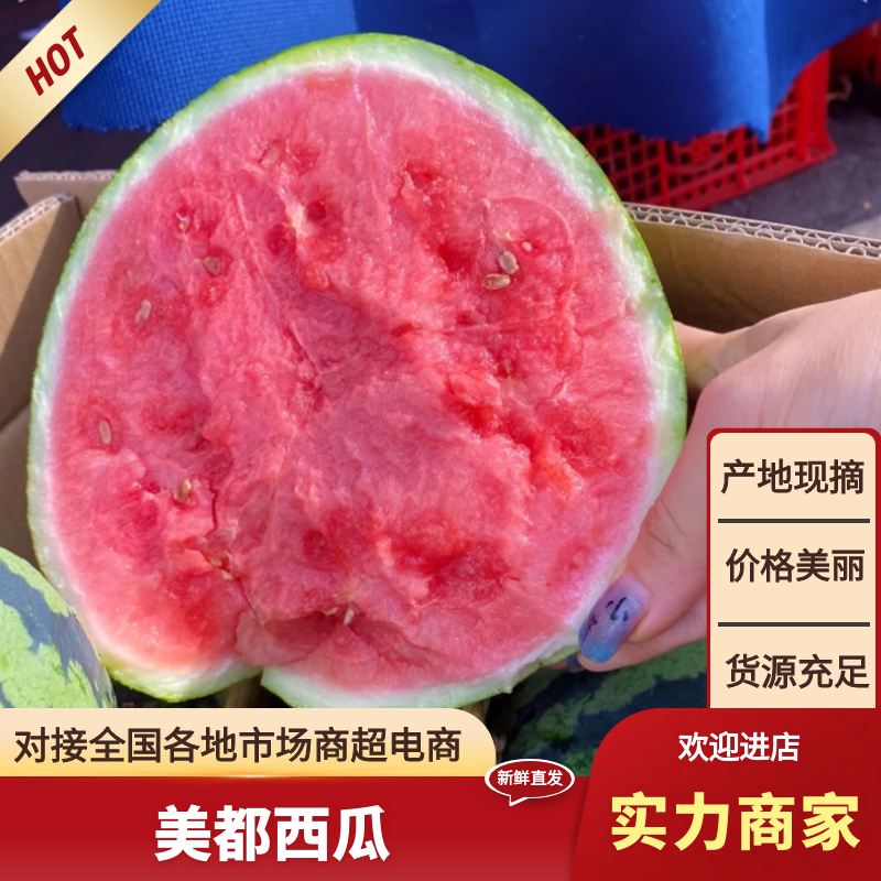 雷州美都西瓜雷州西瓜广东西瓜包熟包甜提供一条龙服务