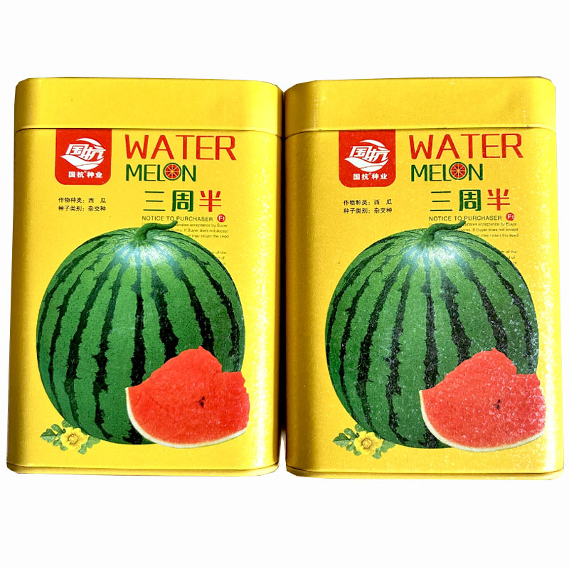 三周半西瓜种子国抗种业高产特不骑形麒麟西瓜籽超甜薄皮红瓤