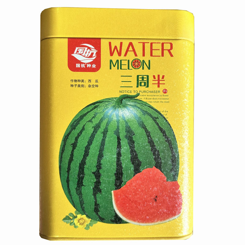 三周半西瓜种子国抗种业高产特不骑形麒麟西瓜籽超甜薄皮红瓤