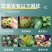 颗粒硼柑橘果树玉米小麦大豆槟榔通用底肥科技缓释硼颗粒硼肥