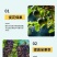 颗粒硼柑橘果树玉米小麦大豆槟榔通用底肥科技缓释硼颗粒硼肥