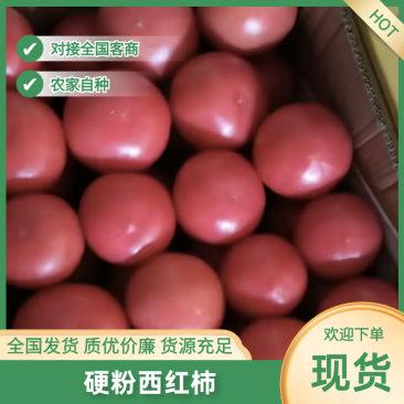 水果西红柿