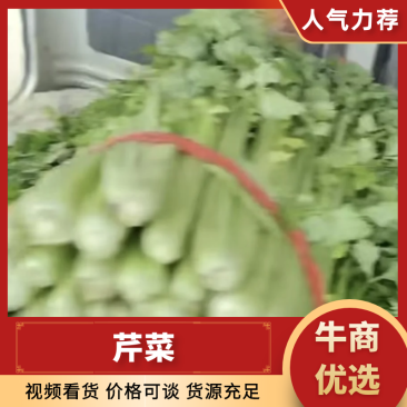 西芹【精品】芹菜万亩产地直发，品质保证，欢迎电联选购