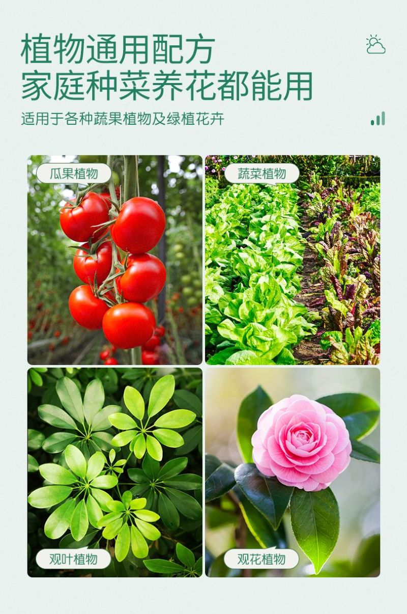 史丹利农业用粉状硫酸钾钾肥水溶性钾肥高钾肥纯钾