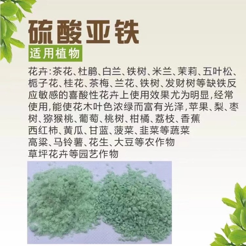 硫酸亚铁花用铁肥粉末粉绿黑矾花卉防治黄叶病虫叶面肥