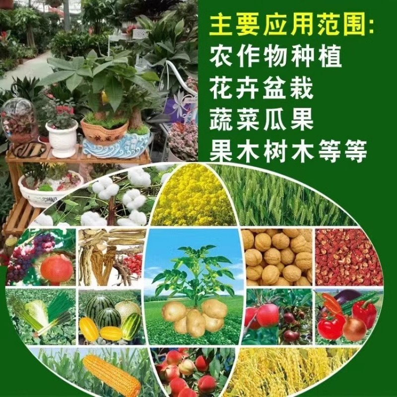 硫酸亚铁花用铁肥粉末粉绿黑矾花卉防治黄叶病虫叶面肥