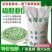 硫酸亚铁花用铁肥粉末粉绿黑矾花卉防治黄叶病虫叶面肥