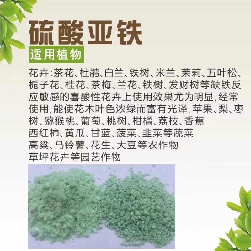硫酸亚铁花用铁肥粉末粉绿黑矾花卉防治黄叶病虫叶面肥