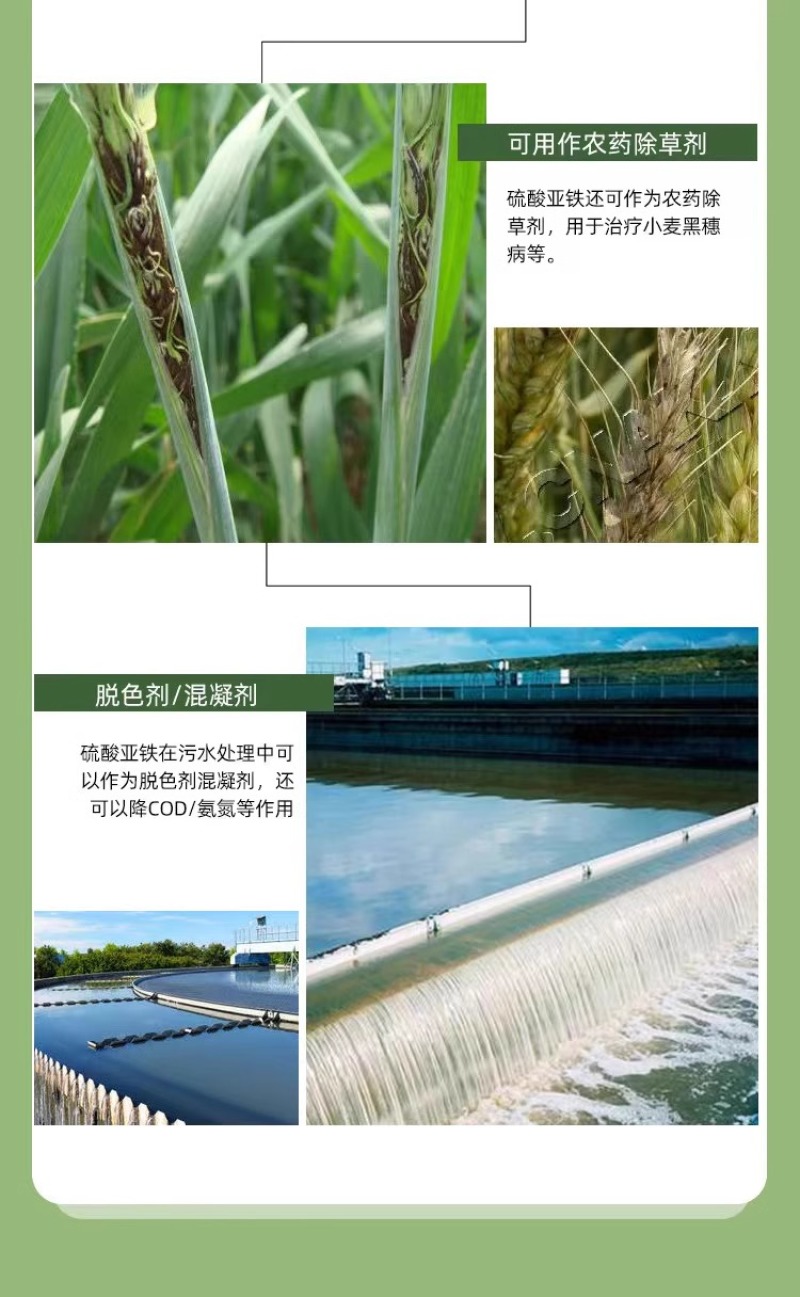 硫酸亚铁花用铁肥粉末粉绿黑矾花卉防治黄叶病虫叶面肥
