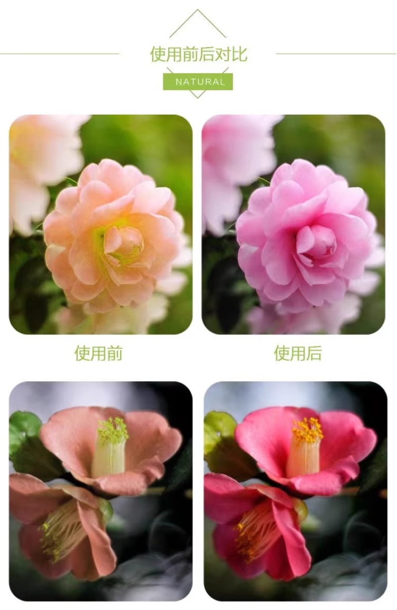 硫酸亚铁花用铁肥粉末粉绿黑矾花卉防治黄叶病虫叶面肥