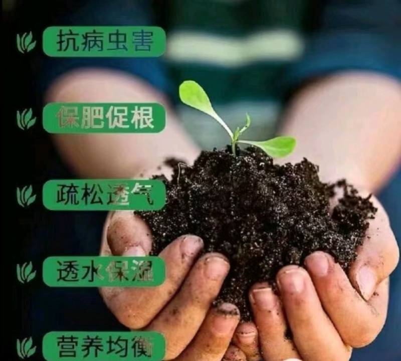发酵有机肥（纯羊粪）可散装可精包装可视频看货