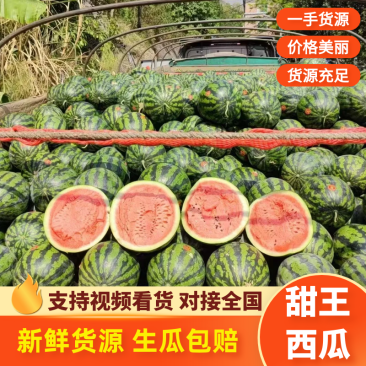 陕西西瓜/蒲城甜王/陕西西瓜/精品甜王/欢迎来电咨询合作
