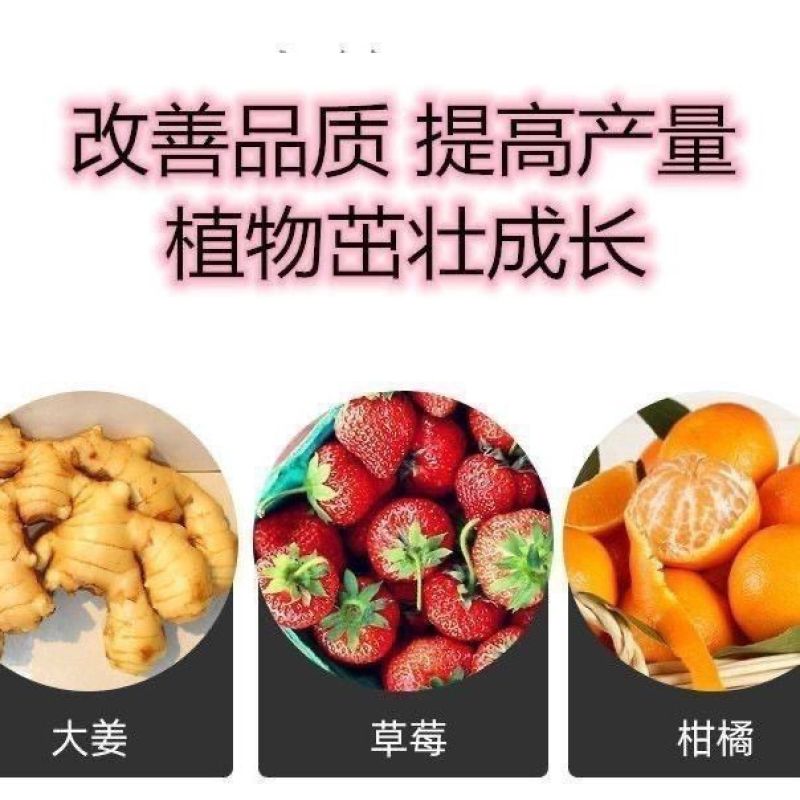 硝酸钙镁全水溶中量元素水溶肥料蔬菜园艺果树通用钙镁肥