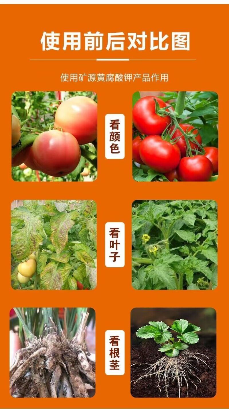 浓缩液体矿源黄腐酸钾调酸碱活化板结土壤促生根壮苗抗重茬