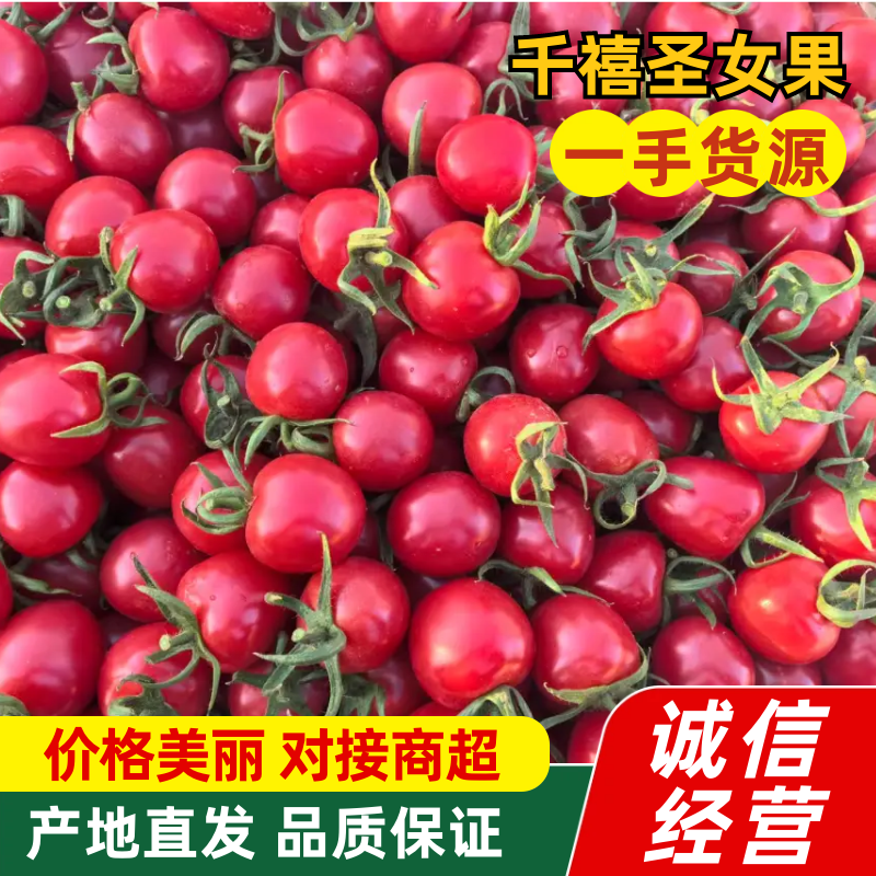 【优选】山东圣女果/千禧果/对接商超批发市场/