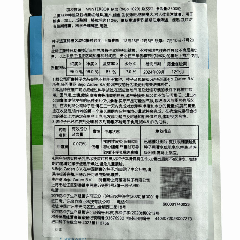 冬宝荷兰进口杂交必久羽衣甘蓝种子绿色高产基地品种