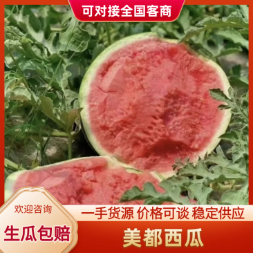 美都西瓜无籽西瓜云南西瓜,品质保证,对接电商市场批发商