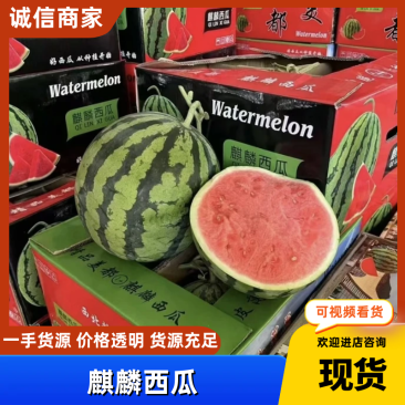 麒麟西瓜云南精品西瓜，大量现货供应，可视频看货代发全国