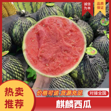 云南西瓜麒麟西瓜产地一手货源，规格齐全对接全国电商市场批发商