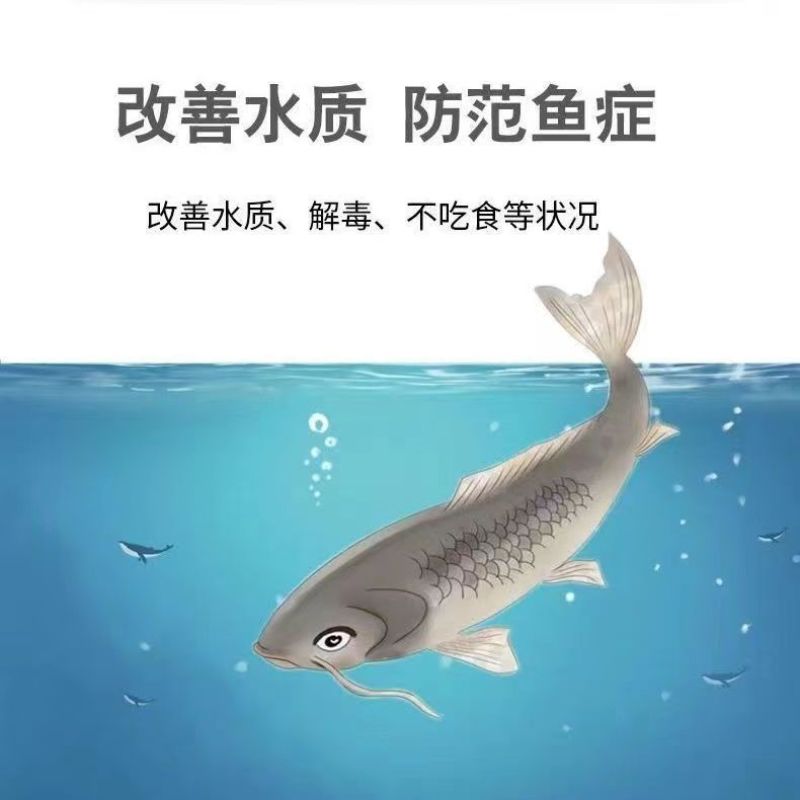 大苏打除氯剂硫代硫酸钠水产养殖水质净化解毒安定剂海波大颗