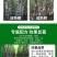 甘蔗专用药甘蔗拉长膨大素增长增粗拔节增甜抗倒甘蔗壮丰素叶