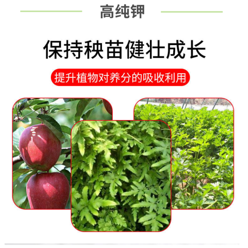 糖醇钾叶面肥液体有机钾肥膨果增甜转色瓜果通用高纯钾