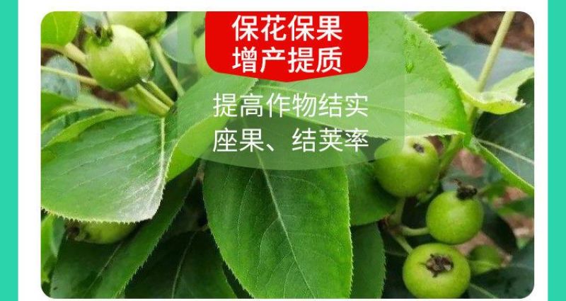 糖醇钾叶面肥液体有机钾肥膨果增甜转色瓜果通用高纯钾