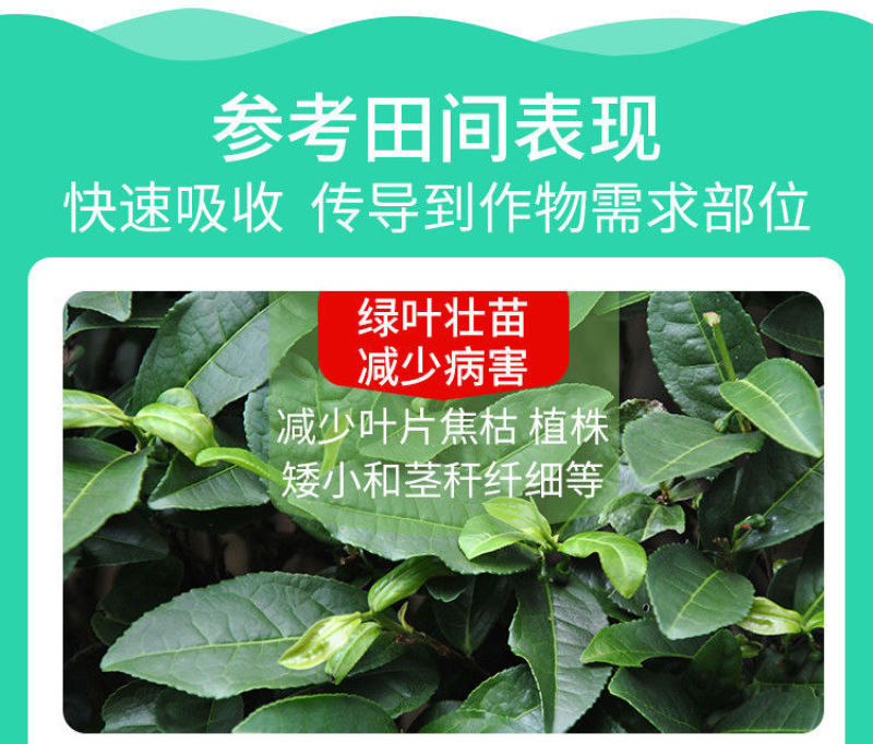糖醇钾叶面肥液体有机钾肥膨果增甜转色瓜果通用高纯钾
