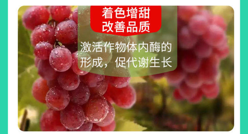 糖醇钾叶面肥液体有机钾肥膨果增甜转色瓜果通用高纯钾